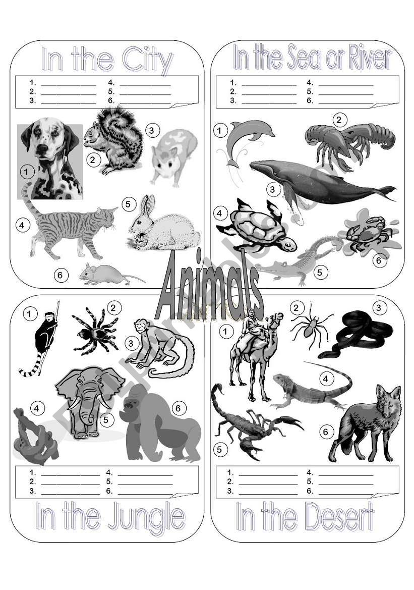 Animals Picture Dictionary Part 1 - Fill in the Blanks - Greyscale