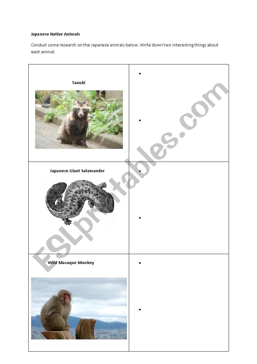 Japanese Native Animals worksheet