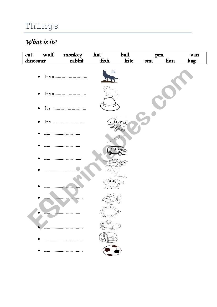 What is it? worksheet