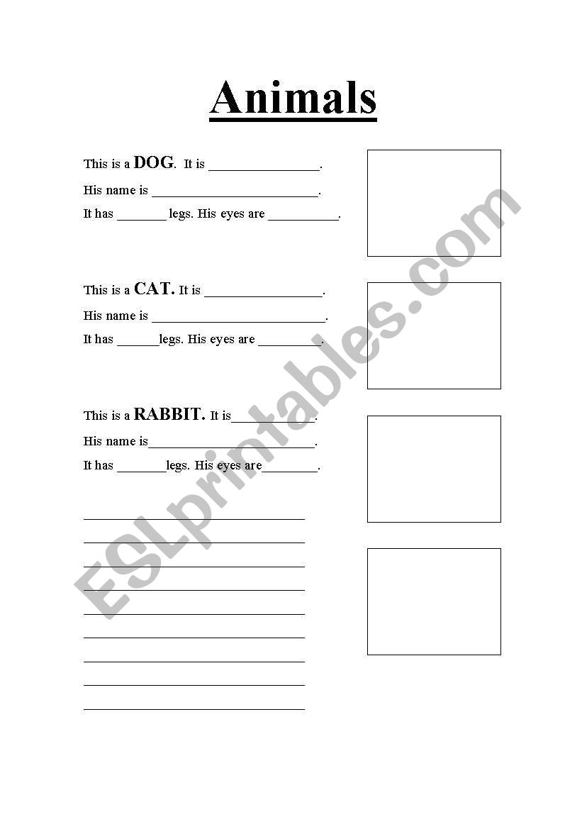 Animals worksheet