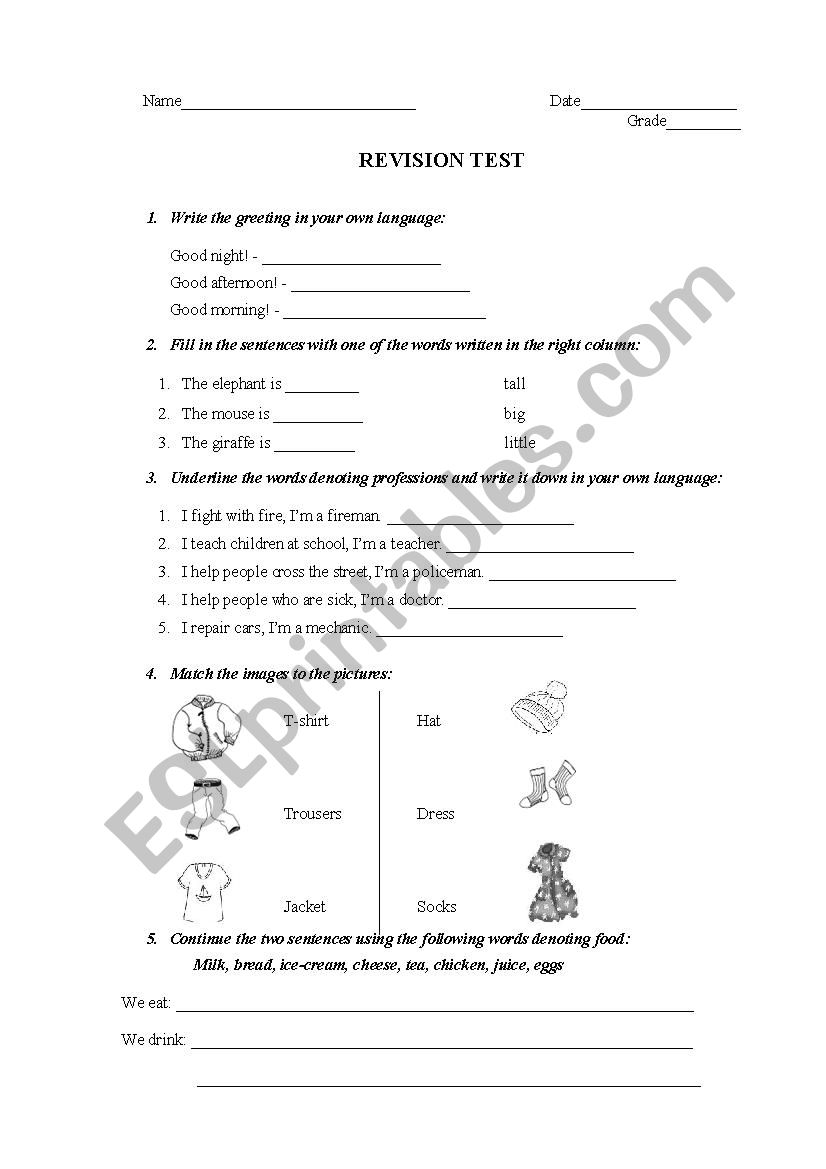 REVISION TEST worksheet