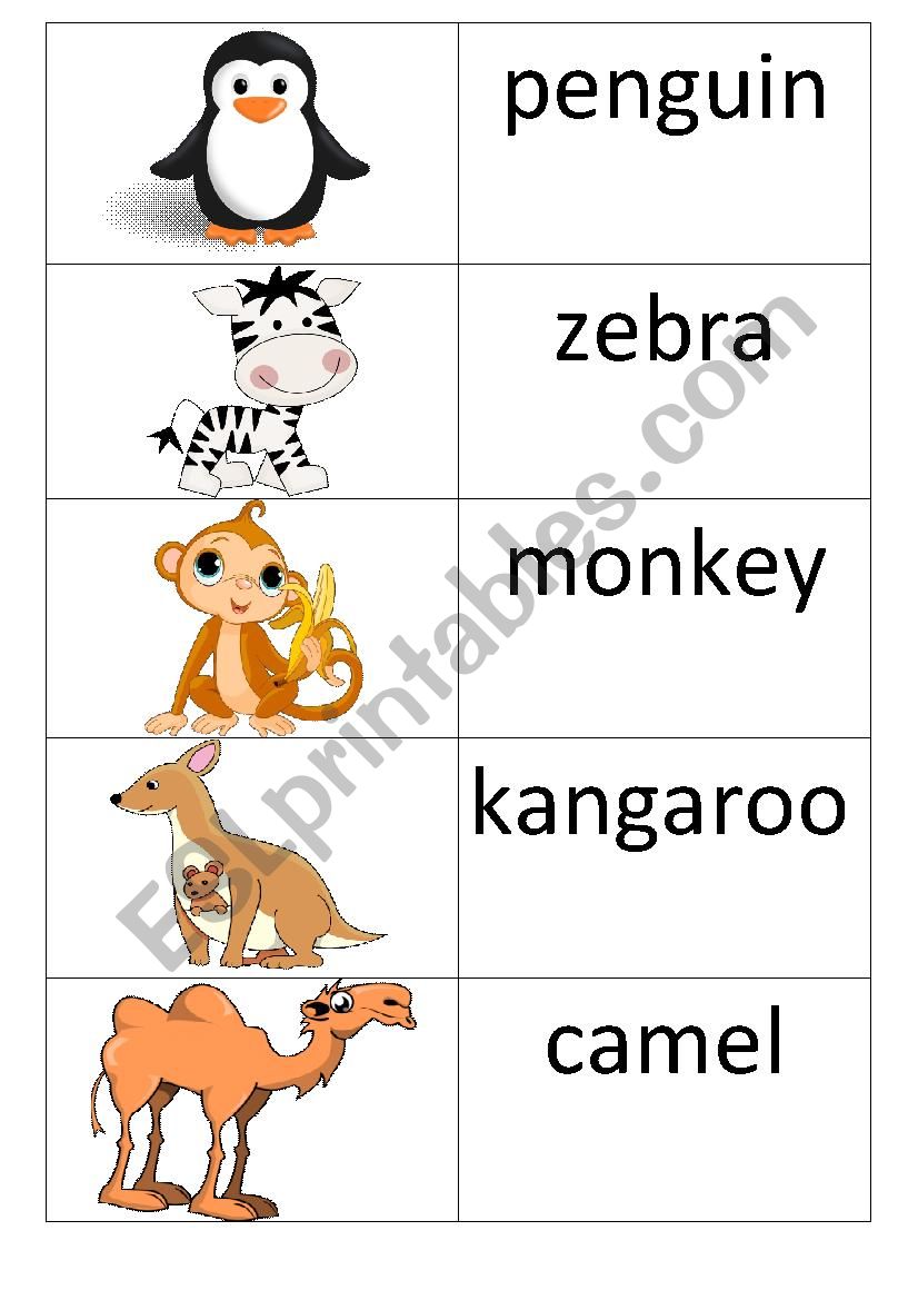 matching memory game_wild animals