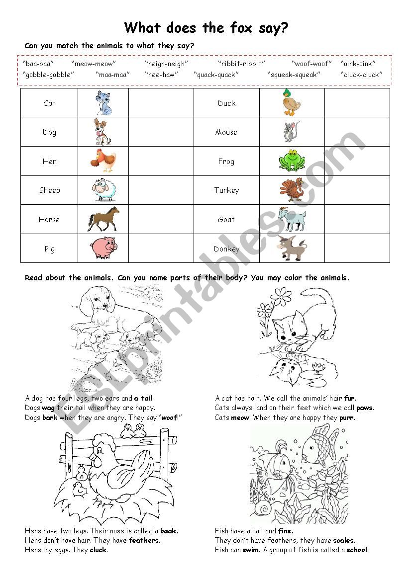 Animals worksheet