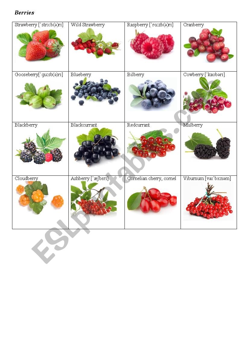 Berries Flashcards (Vocabulary worksheet)