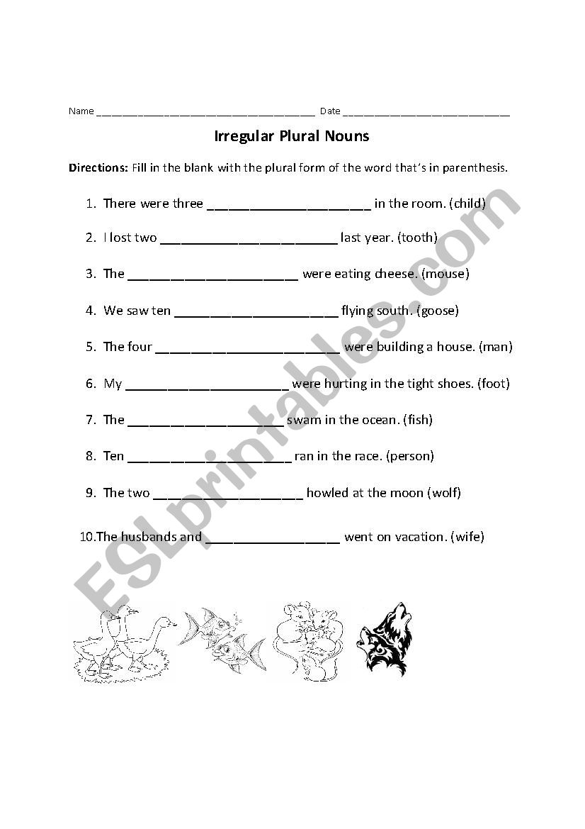 Irregular Plural Nouns worksheet