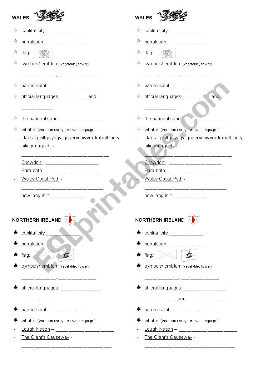 Wales and Northern Ireland webquest