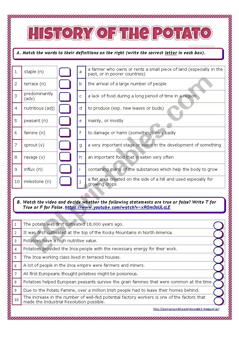 History of the Potato worksheet