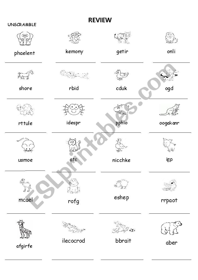 animals worksheet