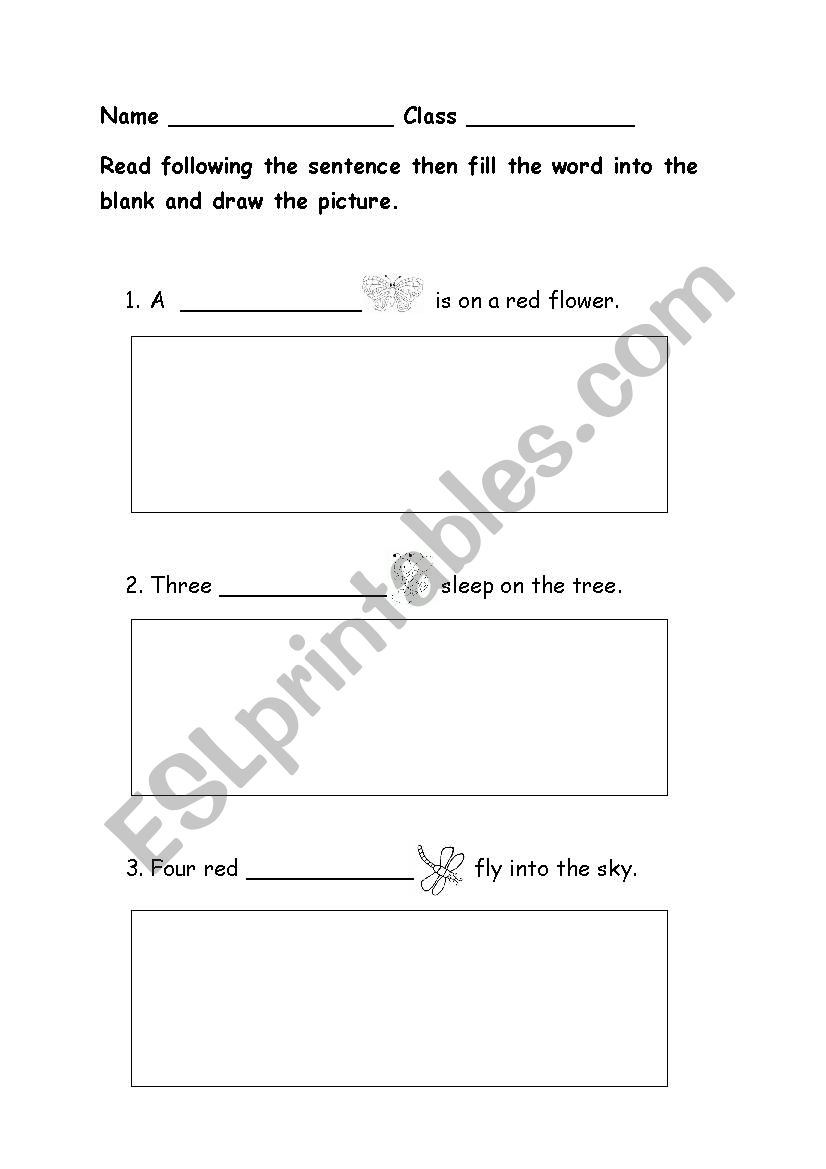 Insect worksheet