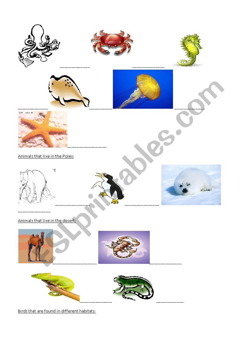Animals Pictionary 4 worksheet