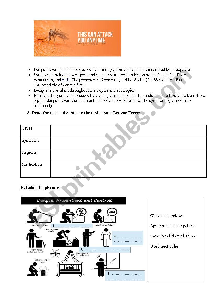 Dengue Fever worksheet