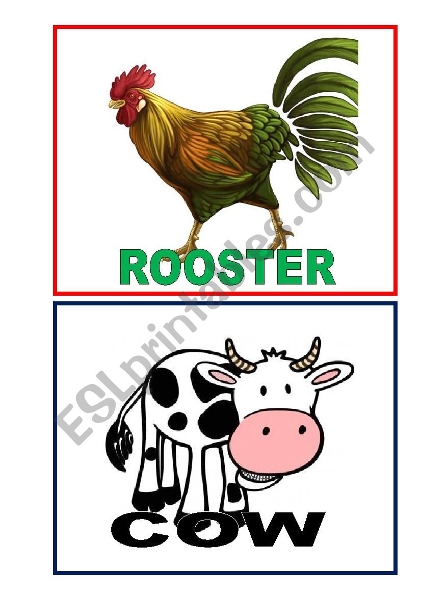 ANIMALS FLASHCARDS worksheet