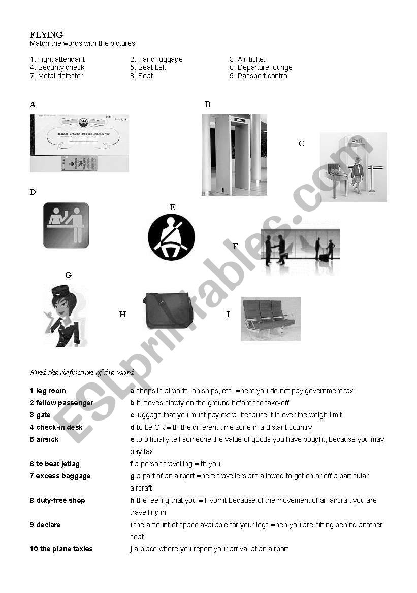 Flying(vocabulary) worksheet