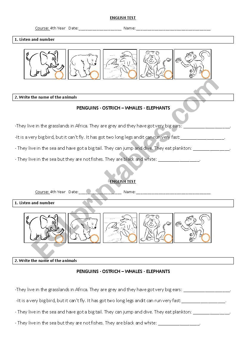 ANIMALS worksheet