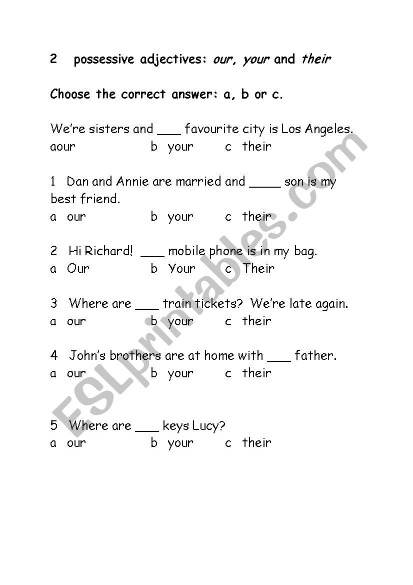 Possessive Adjectives worksheet