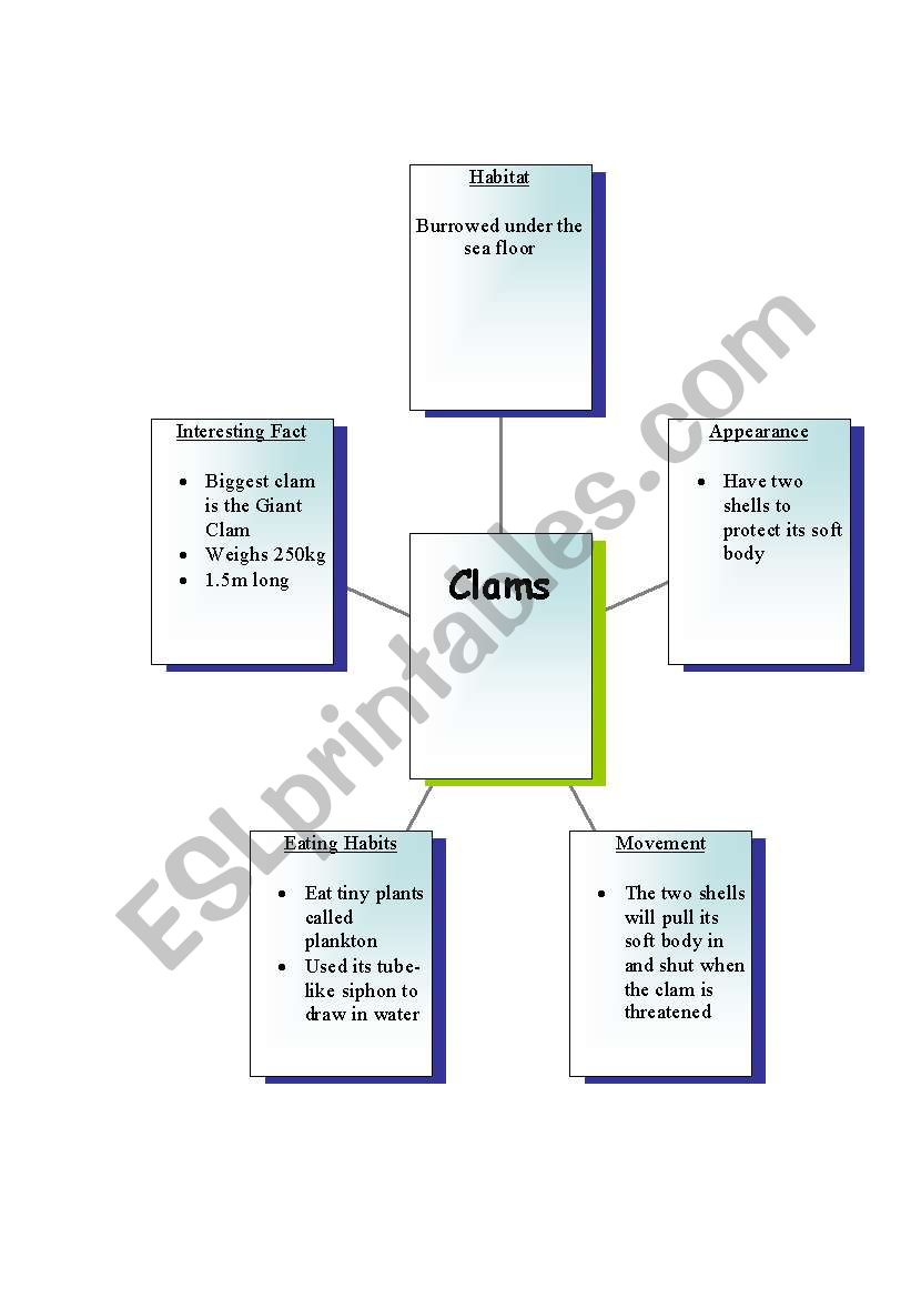 Information About Clams worksheet