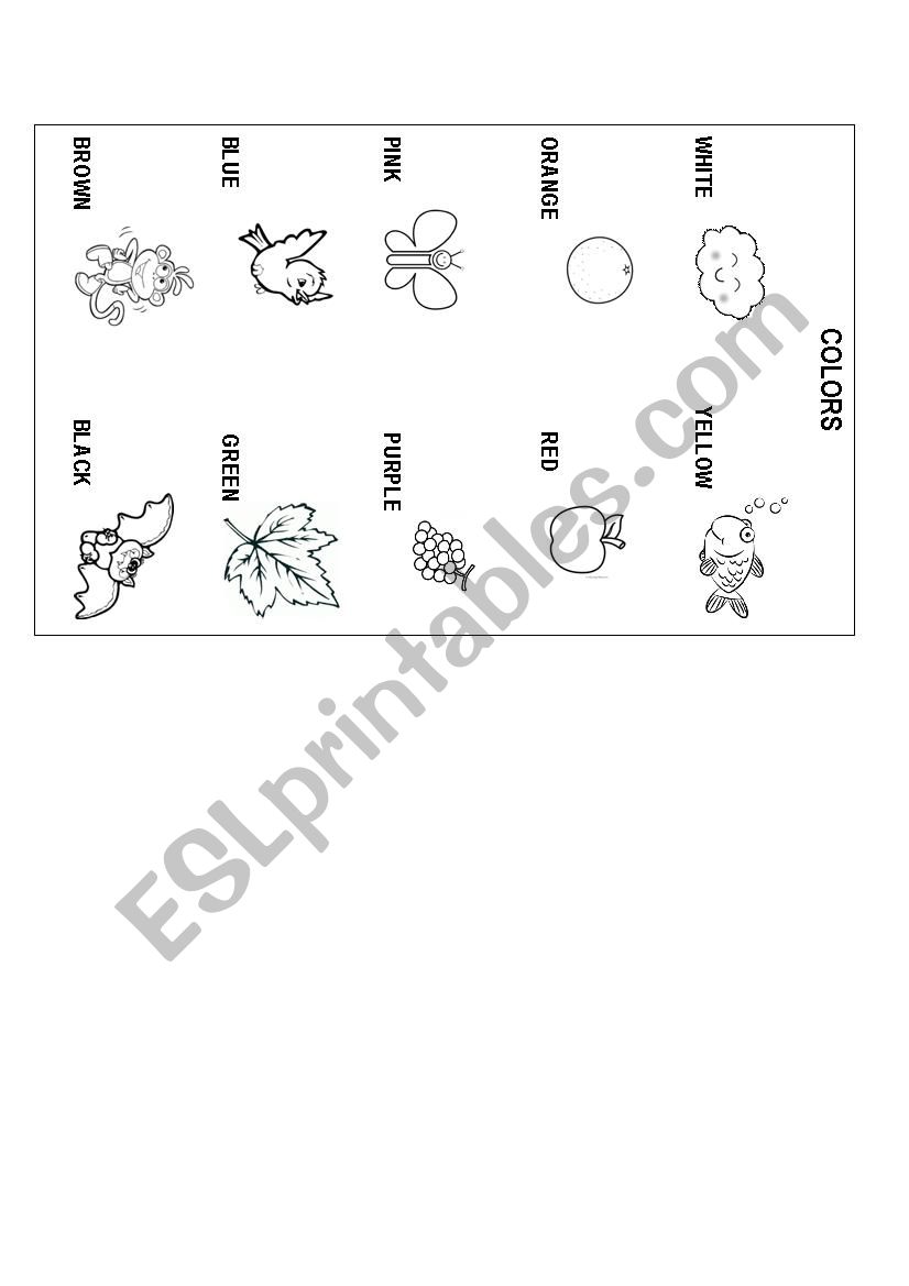 colors activity worksheet