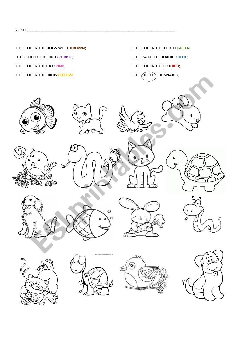 Pets and colors worksheet