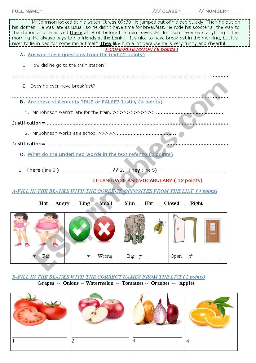 test for elementary students worksheet