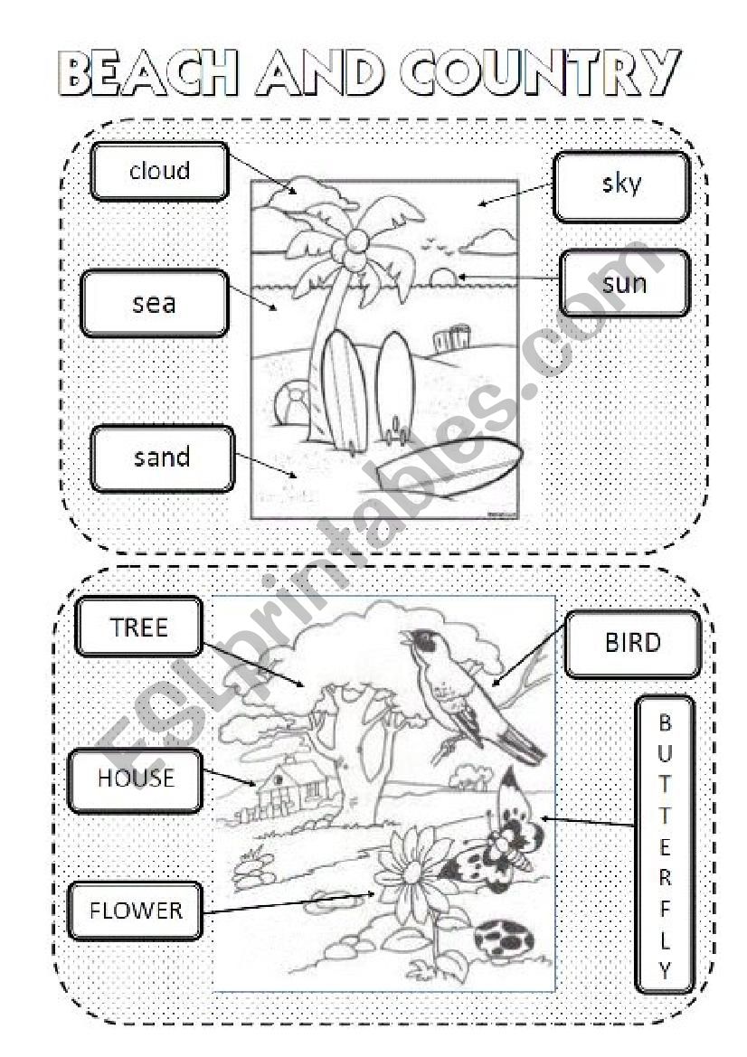 Beach and country worksheet