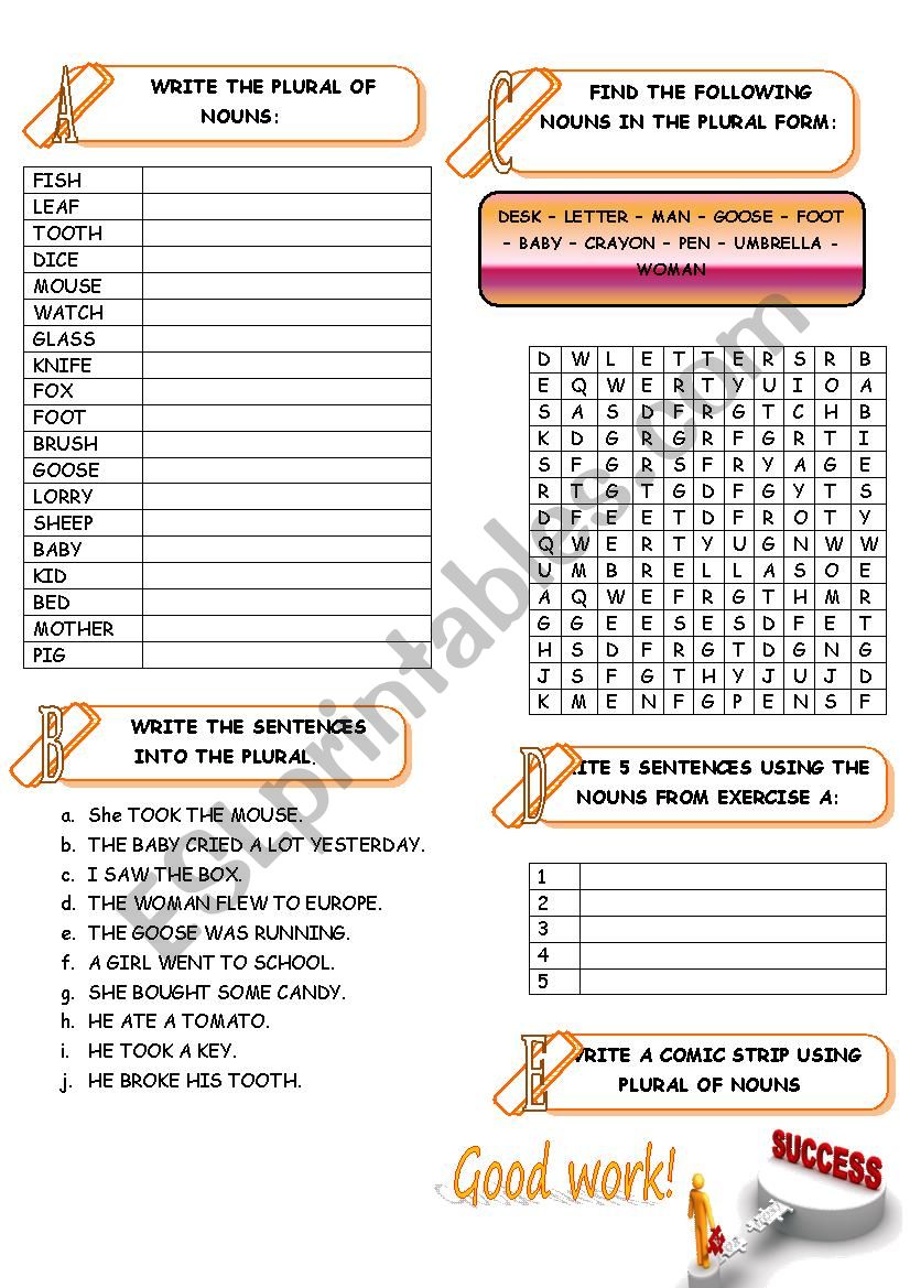 PLURAL OF NOUNS ACTIVITY worksheet