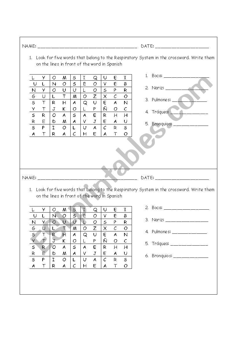 Respiratory system quiz worksheet