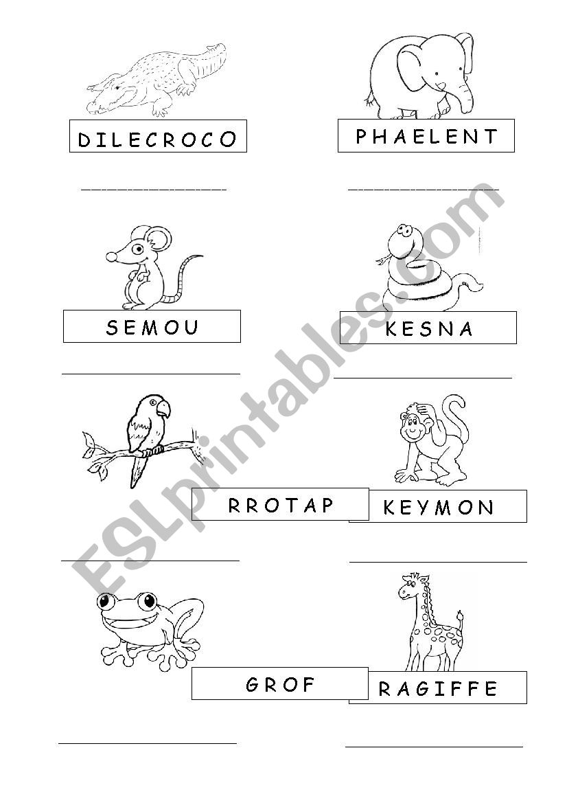 Wild animals worksheet