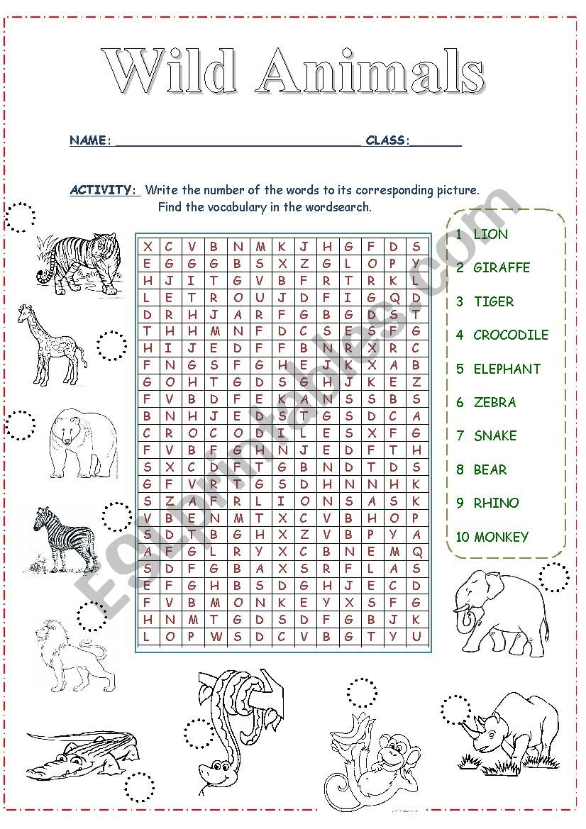 wild animals worksheet