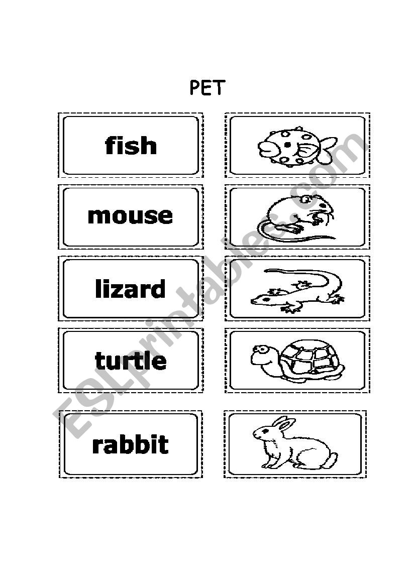 MY LOVELY PET  worksheet