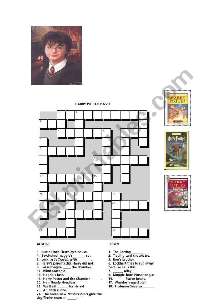 Harry Potter Puzzle worksheet