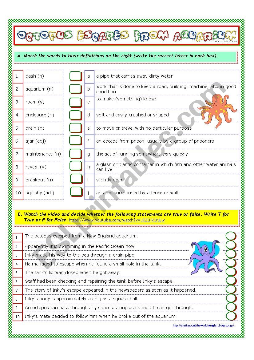 Octopus Escapes from Aquarium worksheet