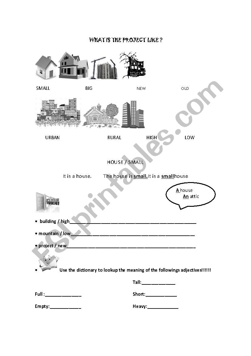 WHAT IS THE PROJECT LIKE ? worksheet