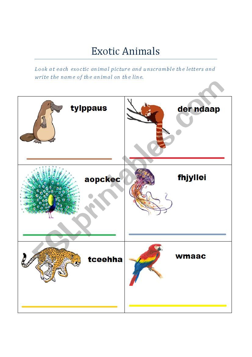 Exotic Animals worksheet