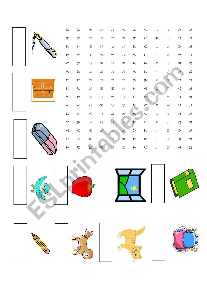 School things and Pets  worksheet