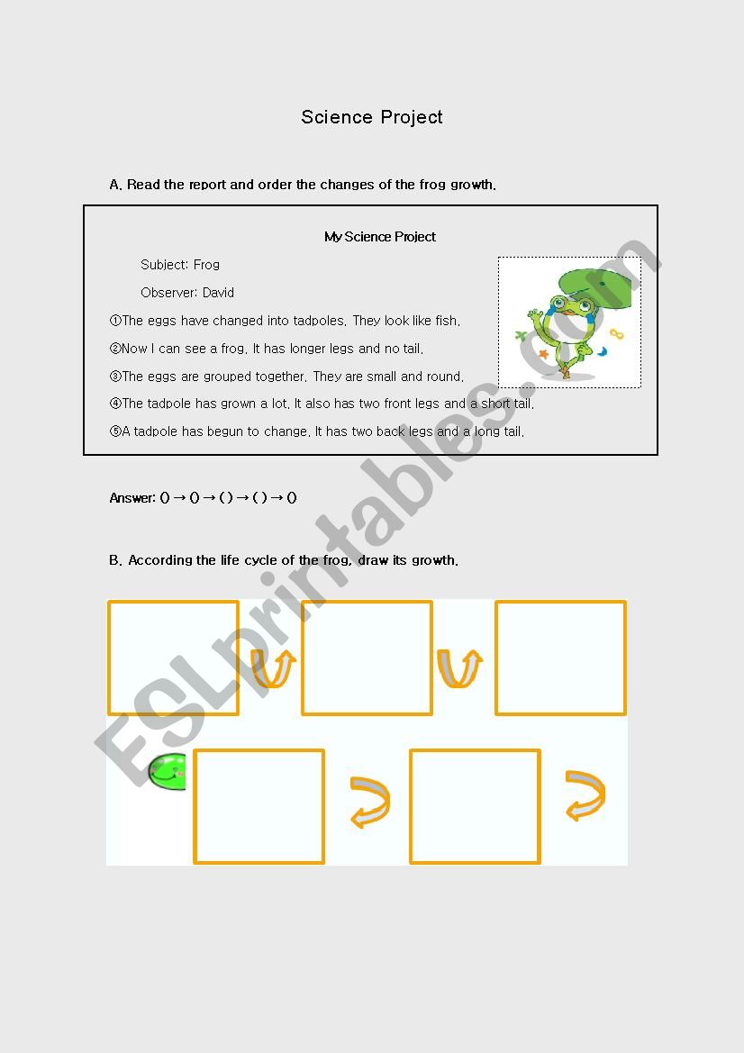 Frog Cycle worksheet