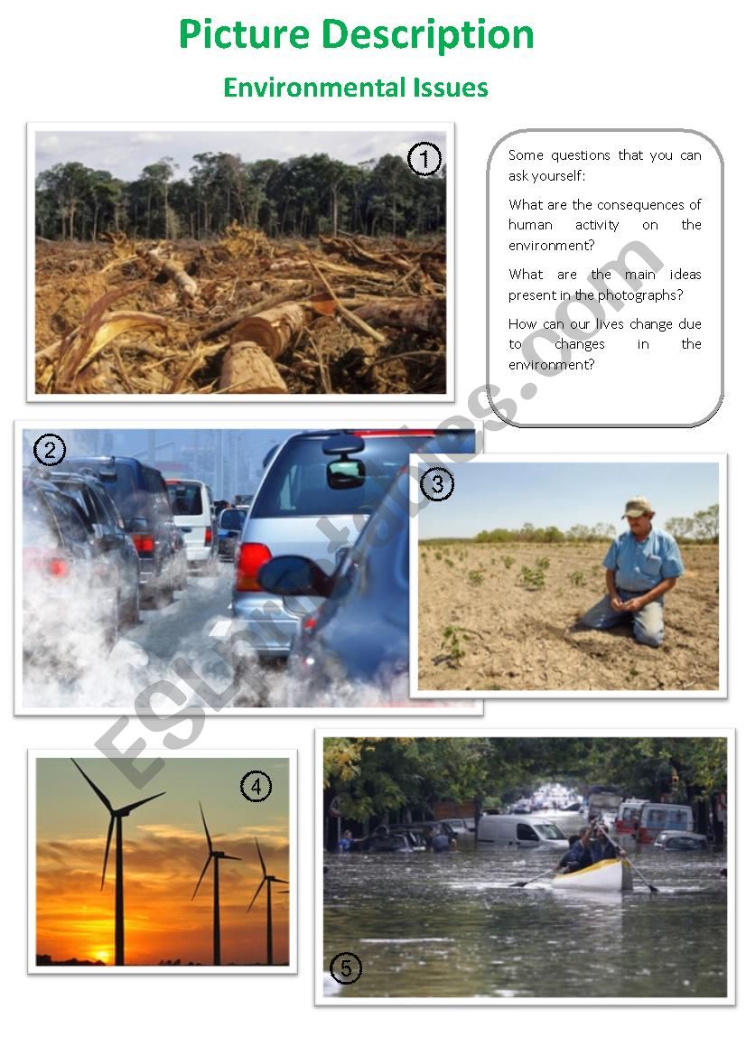 Picture Description - Environmental Issues