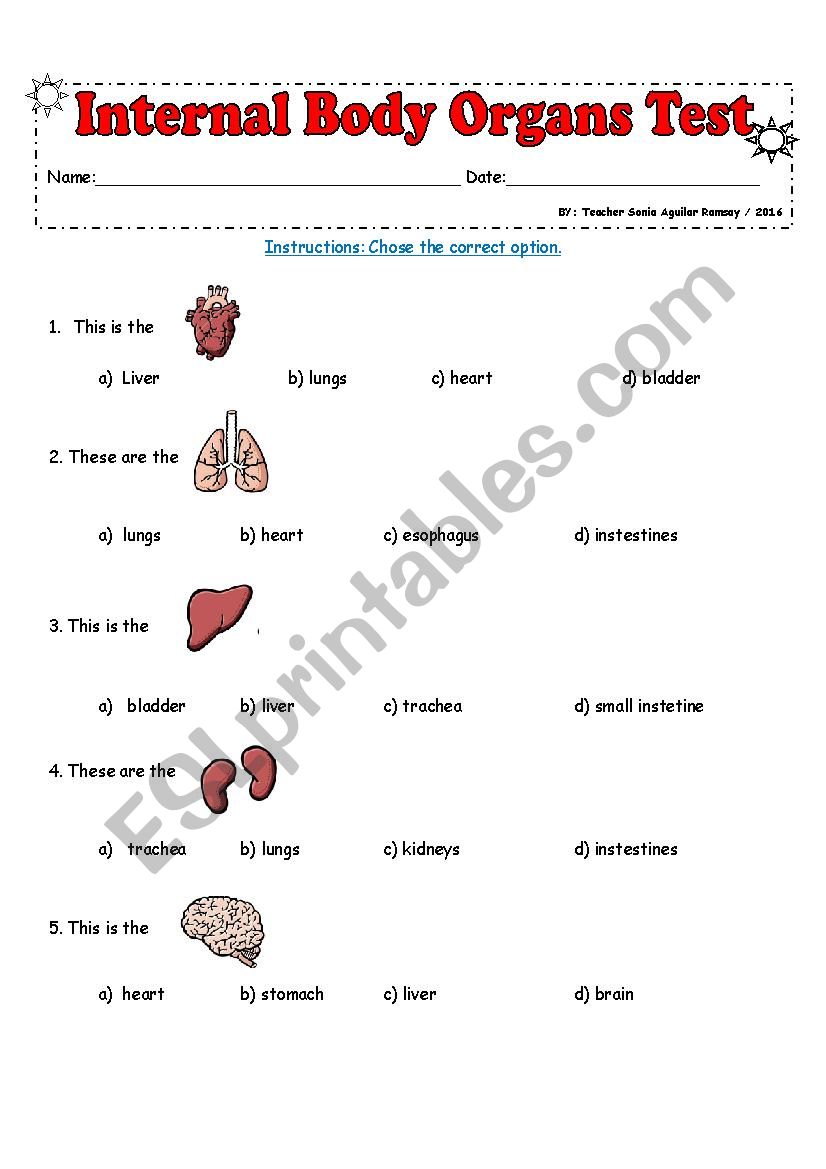 BODY ORGANS worksheet