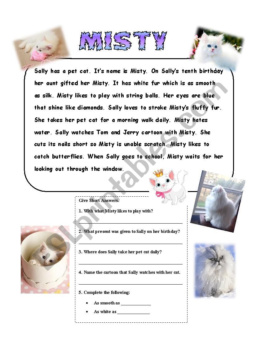 Reading Comprehension on pet cat