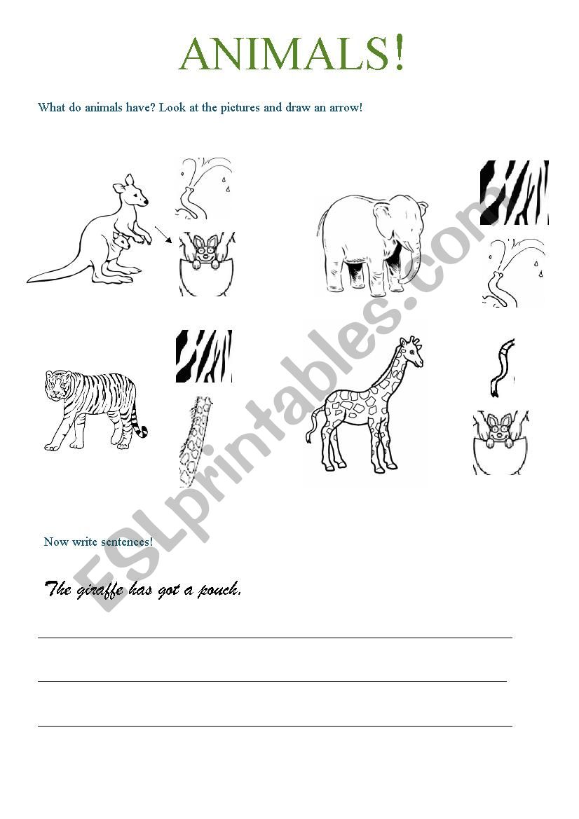 Animals and have got worksheet