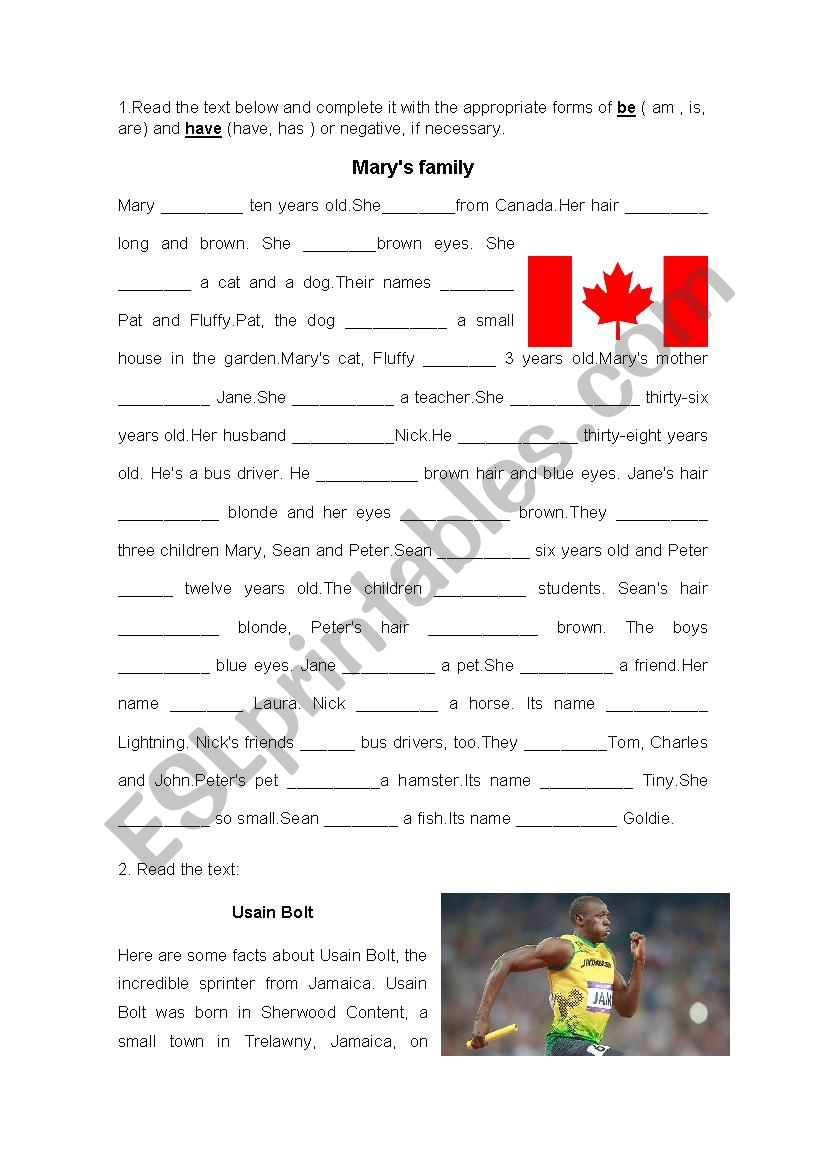 Text reading and exercise worksheet