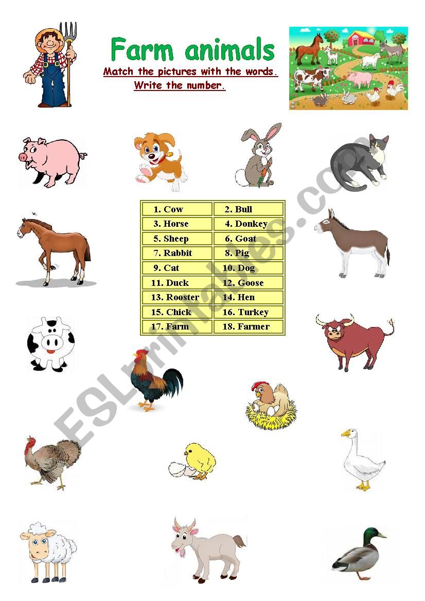 Farm animals worksheet