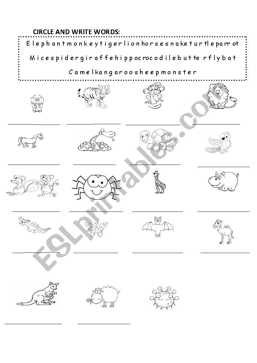 animals worksheet