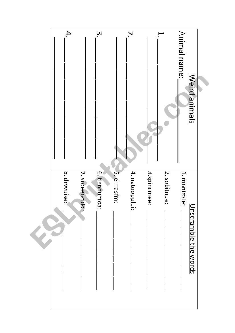 Animal unscramble worksheet