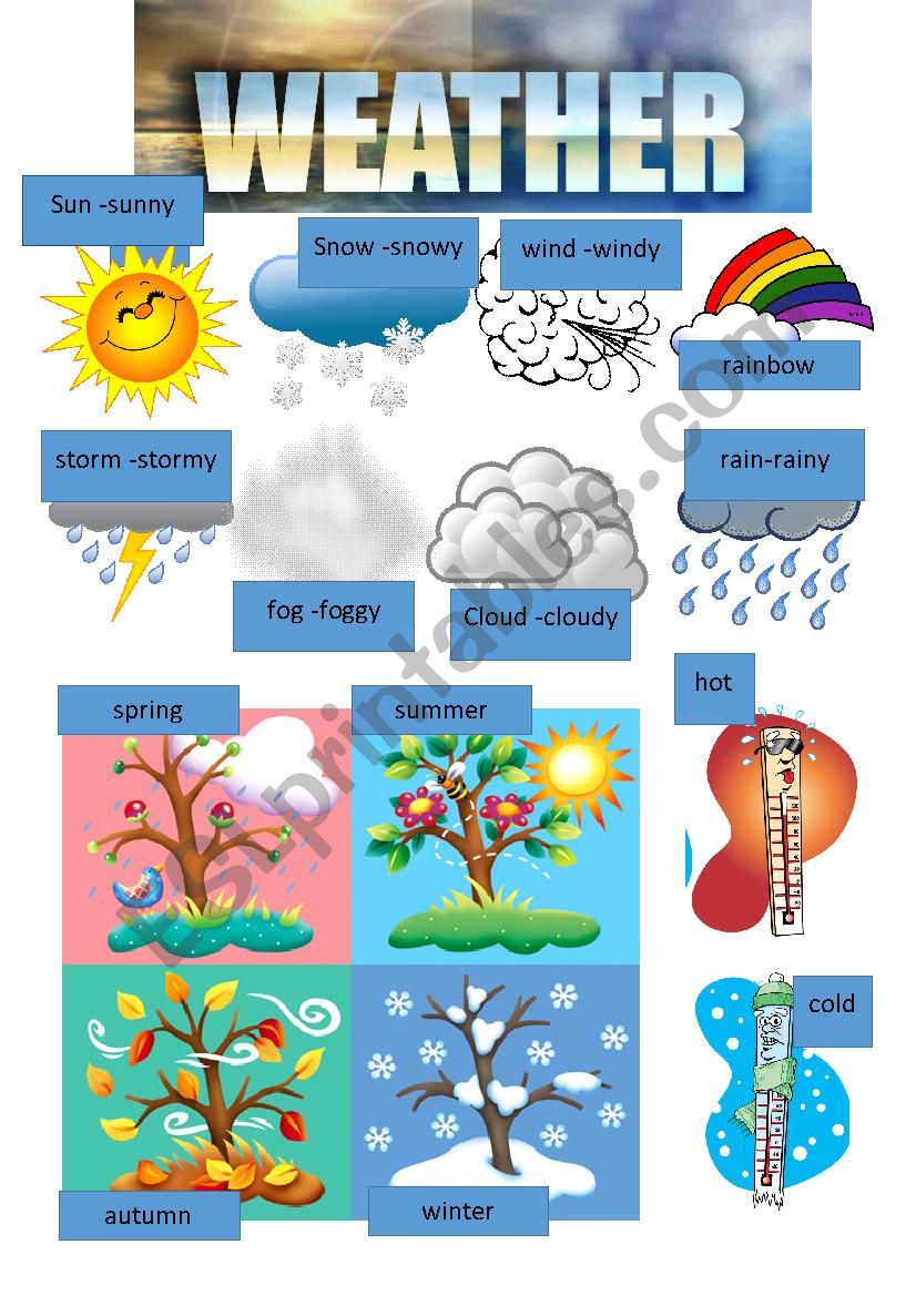 Weather clipart worksheet