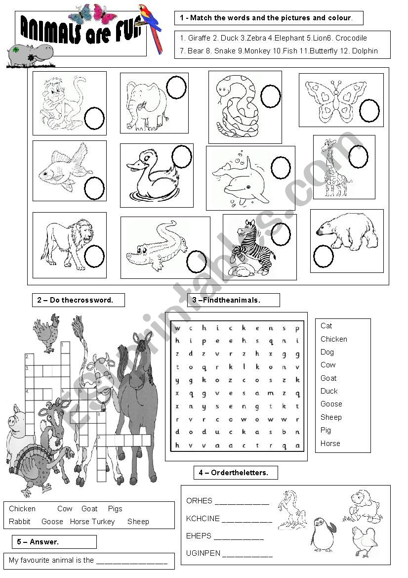 Animals worksheet