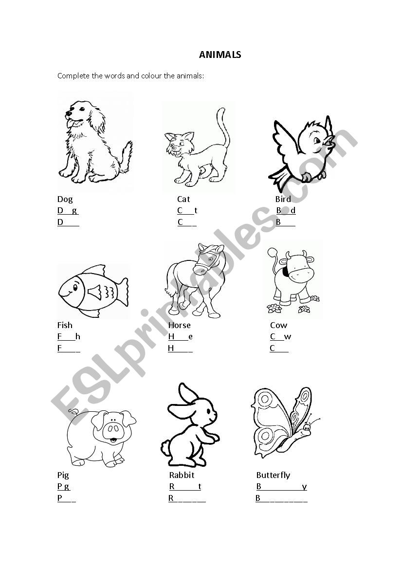 Animals worksheet