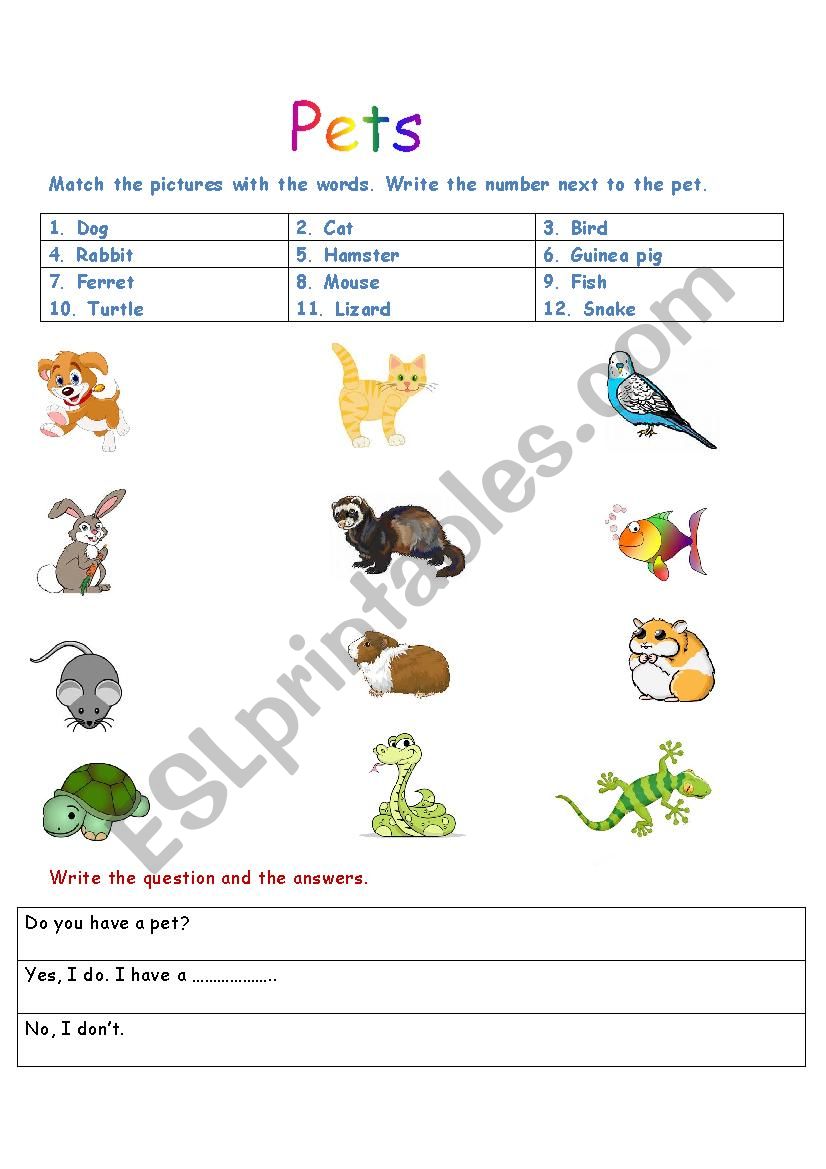 Pets worksheet