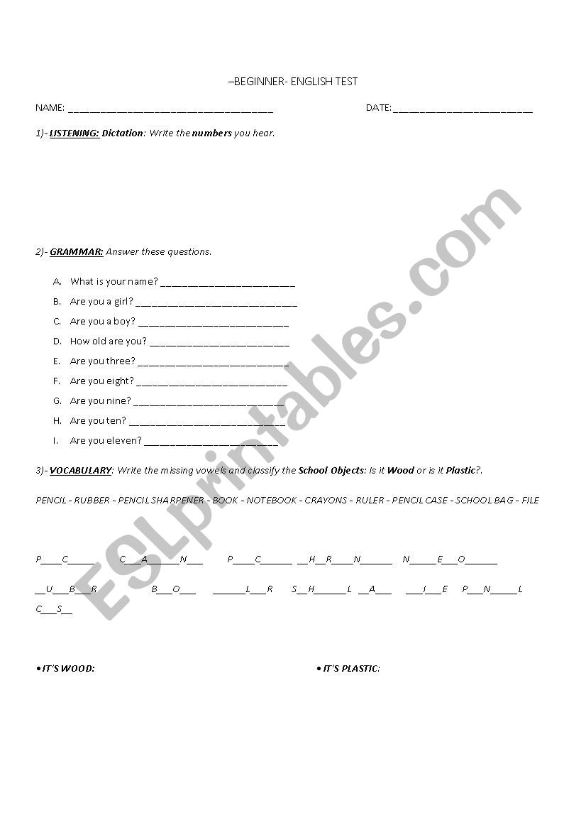 BEGINNER - TEST  worksheet