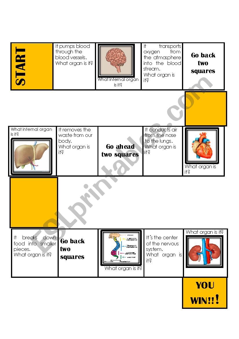 INTERNAL ORGANS BOARDGAME worksheet