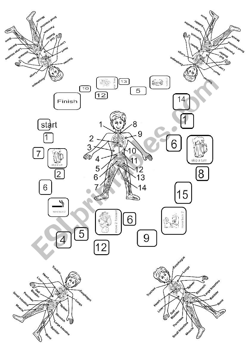 Body Intestine Board Game worksheet